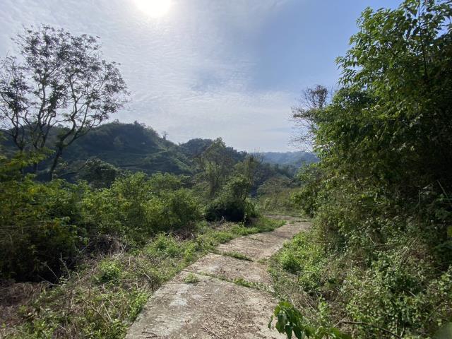 南投中寮農地-1