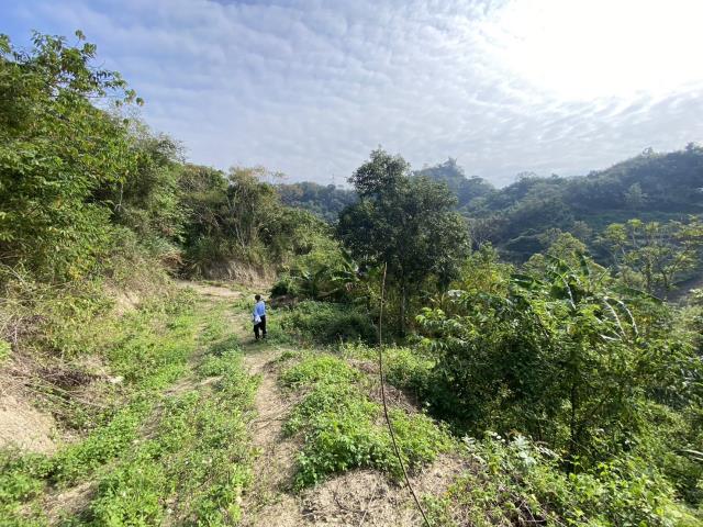 南投中寮農地-2