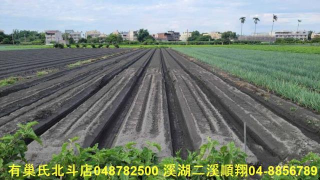 溪湖農地-6