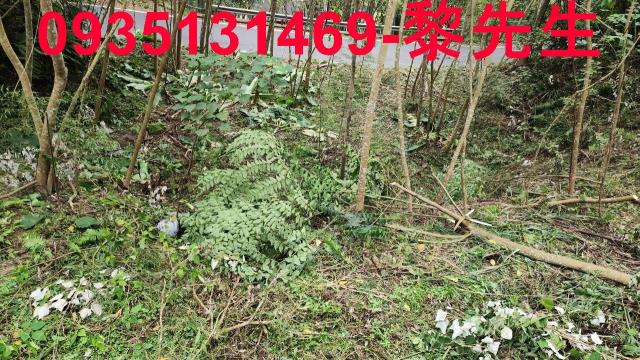 橫山農地-3