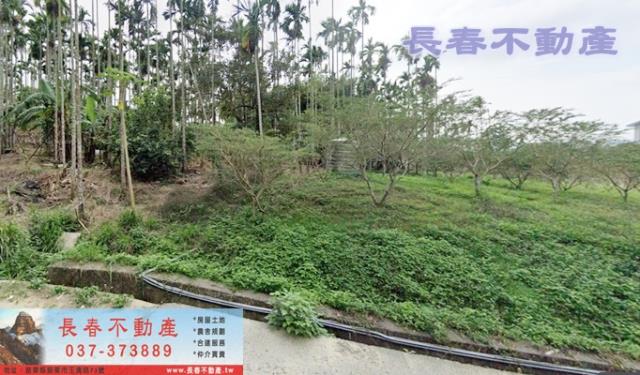 苗栗農地-1