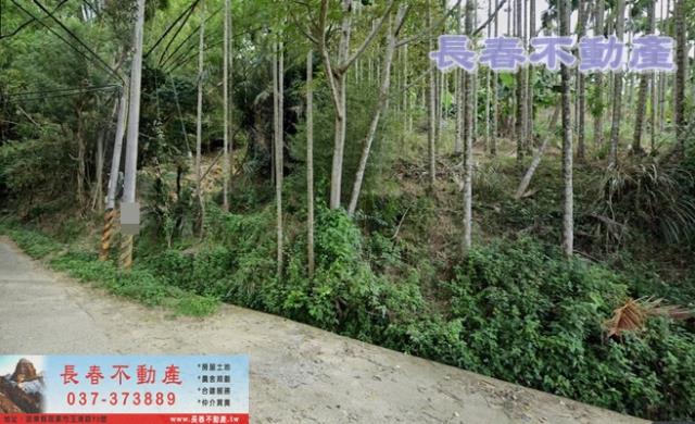 苗栗農地-3