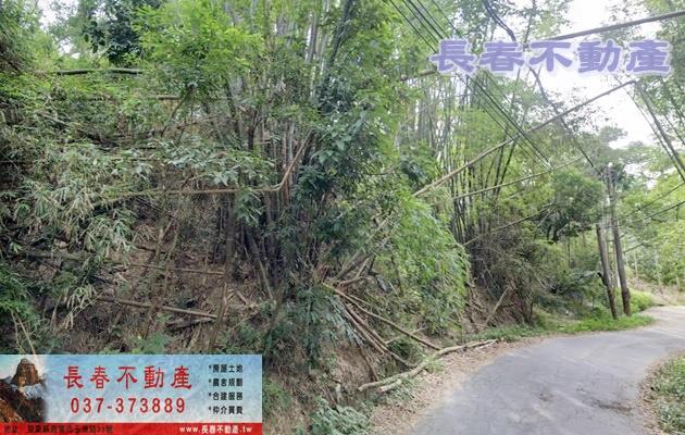 苗栗農地-4