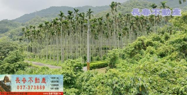 苗栗農地-3