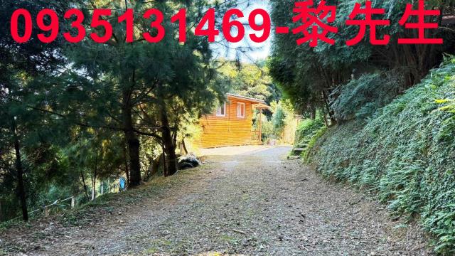 新竹林地-13