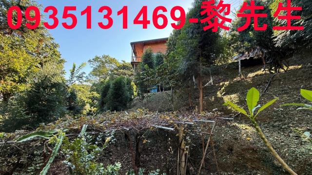 新竹林地-2