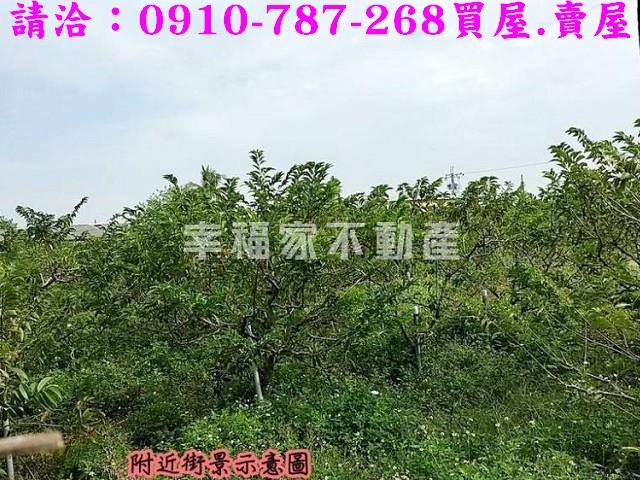 台南歸仁農地-10