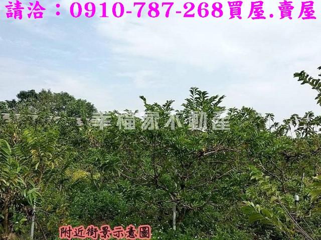 台南歸仁農地-12