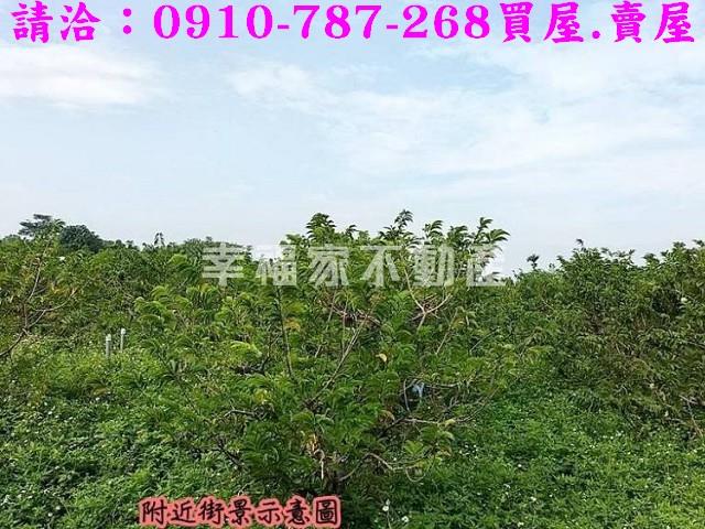 台南歸仁農地-5