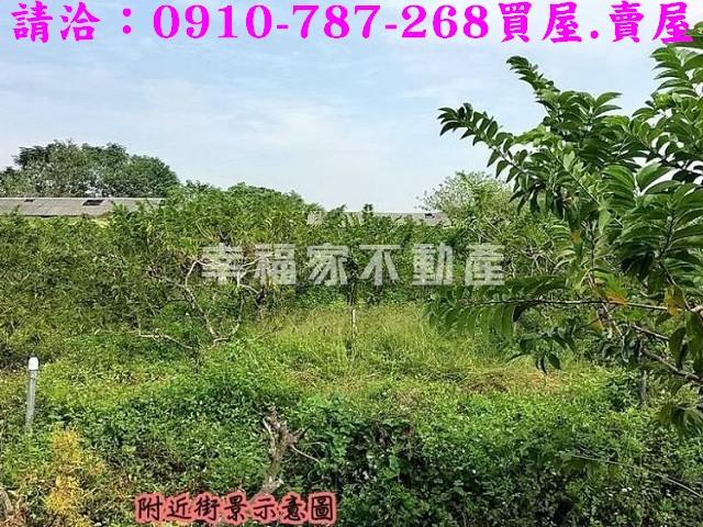 台南歸仁農地-8