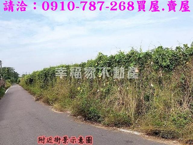 台南歸仁農地-9