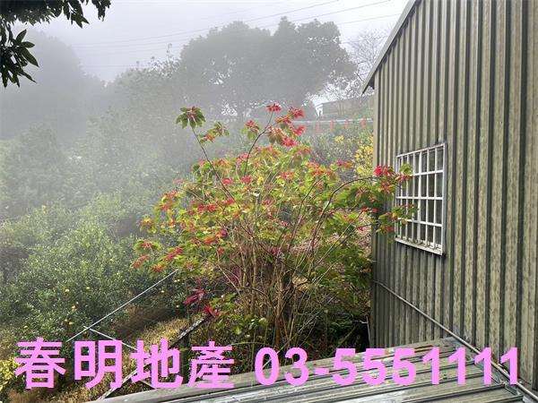 新竹北埔農地-13