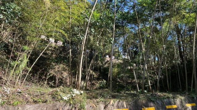 橫山農地-7