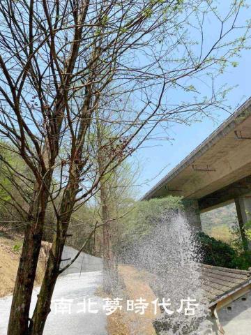 國姓農地-3