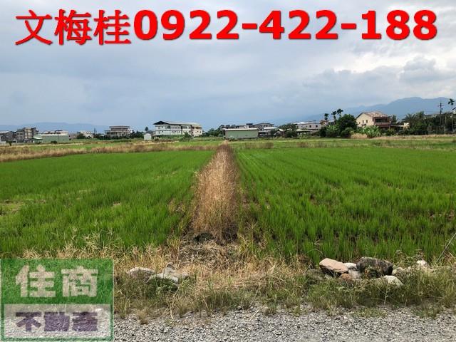 宜蘭宜蘭市農地-4