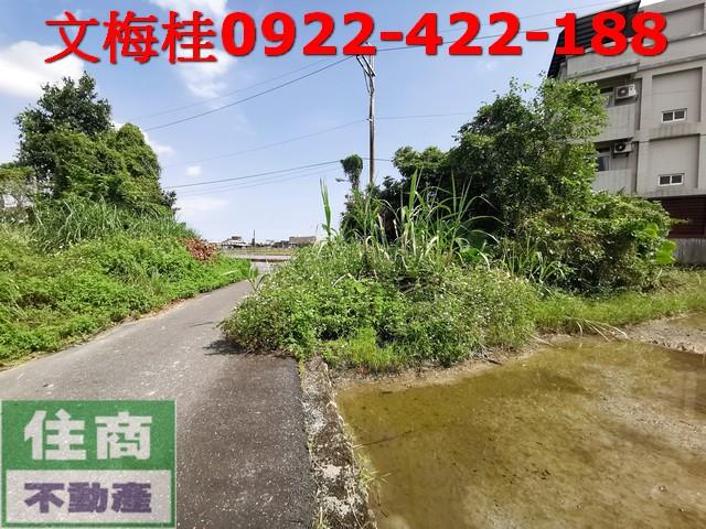 宜蘭宜蘭市農地-2