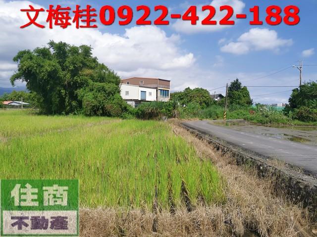 宜蘭宜蘭市農地-4