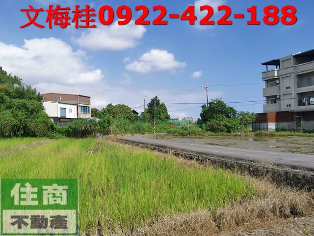 宜蘭宜蘭市農地-6