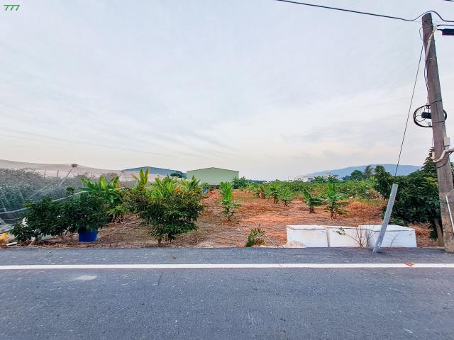 岡山農地-4
