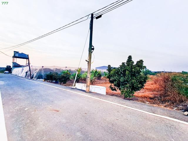 岡山農地-8