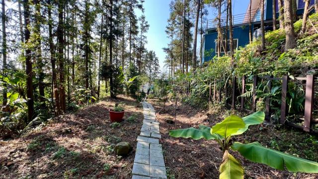新竹北埔山坡地-11