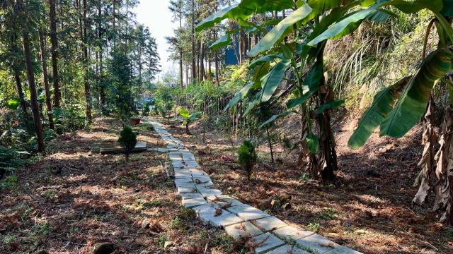 新竹北埔山坡地-12