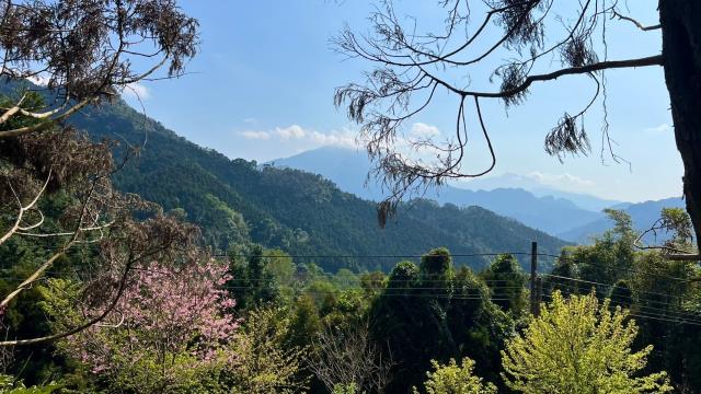新竹北埔山坡地-3