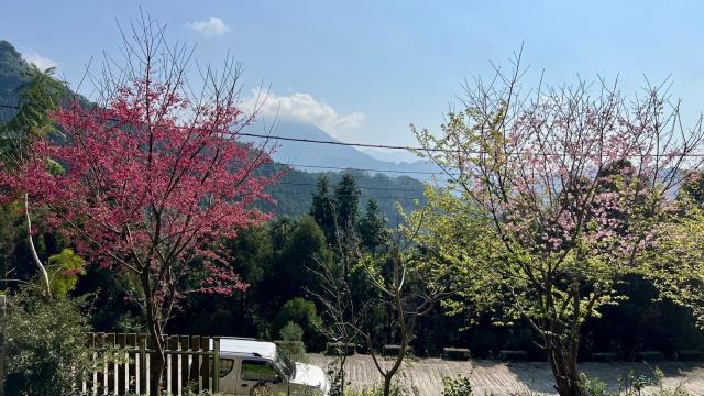 新竹北埔山坡地-4