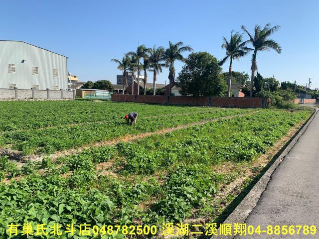 彰化福興農地-8