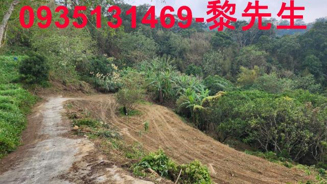 竹東農地-13