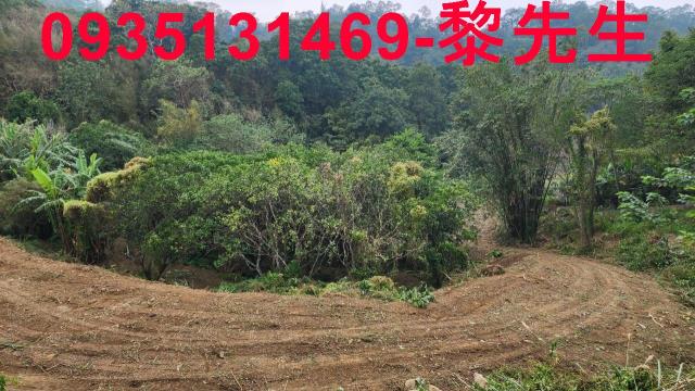 竹東農地-14