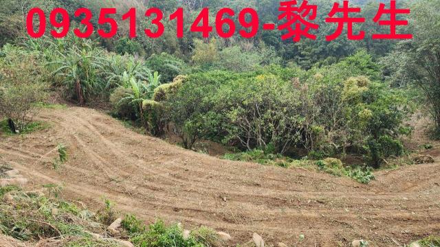 竹東農地-15