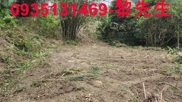 竹東農地-2