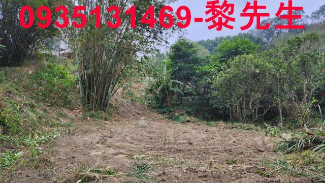 竹東農地-3