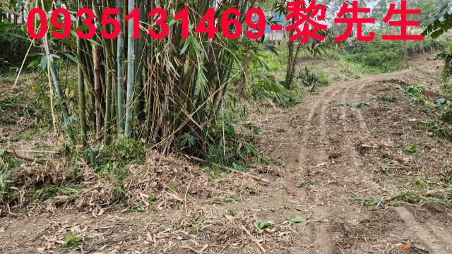 竹東農地-4