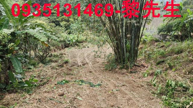 竹東農地-5