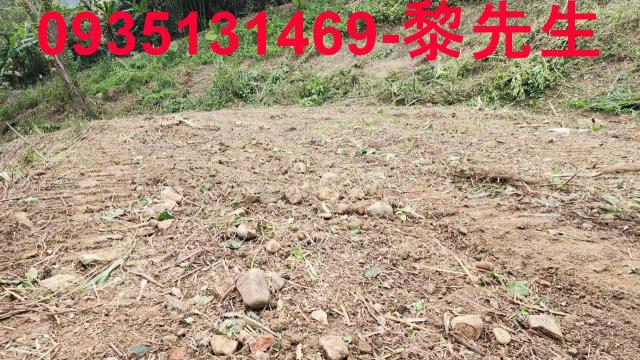 竹東農地-6