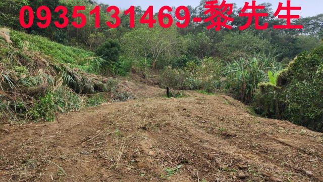 竹東農地-7