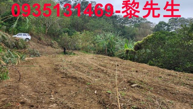 竹東農地-12
