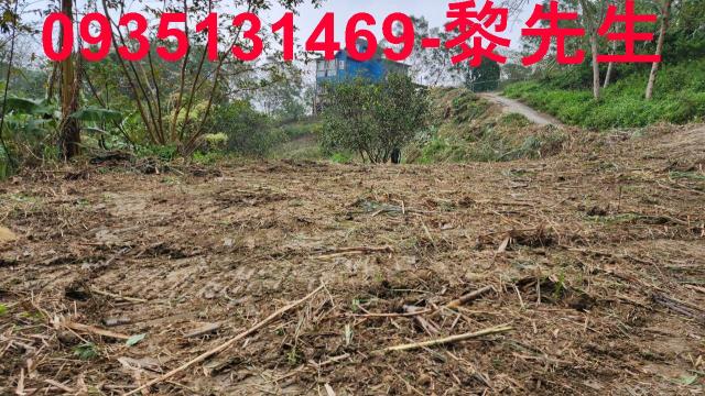 竹東農地-9