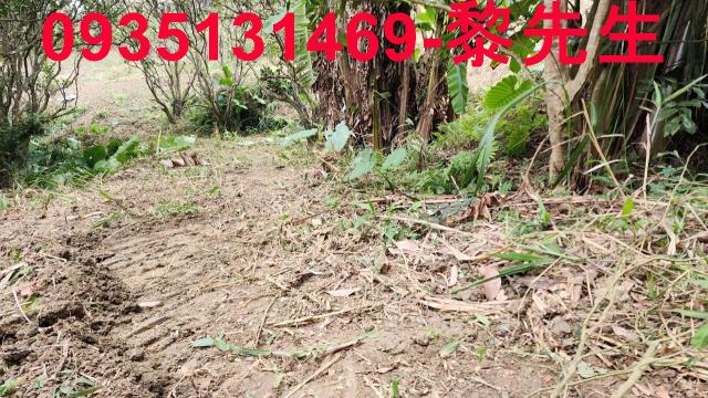 竹東農地-10