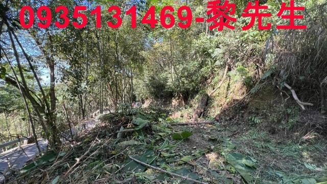 橫山農地-11