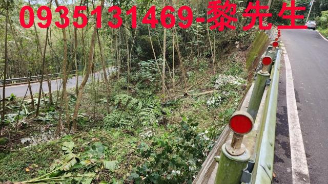 橫山農地-4