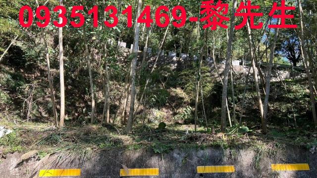 橫山農地-6