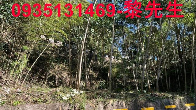 橫山農地-7
