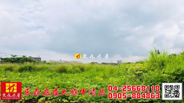 台中農地-1