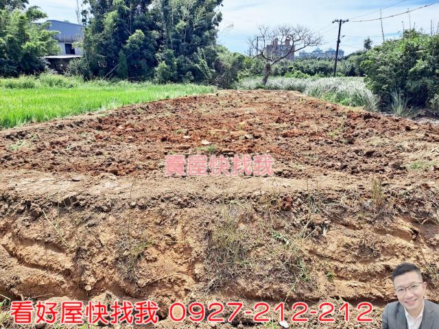 桃園農地-2
