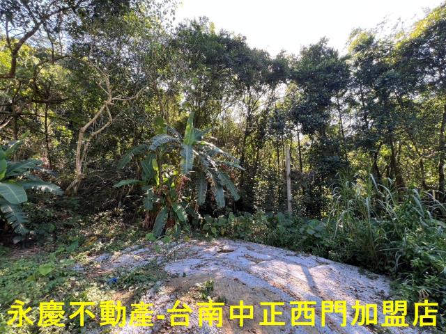 台南白河農地-1