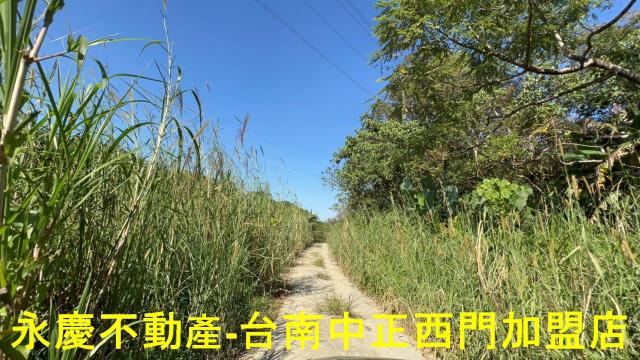 台南白河農地-5