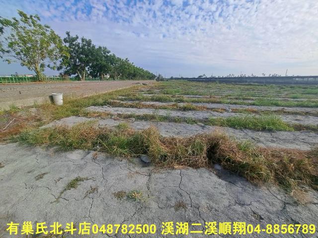 彰化溪州農地-1